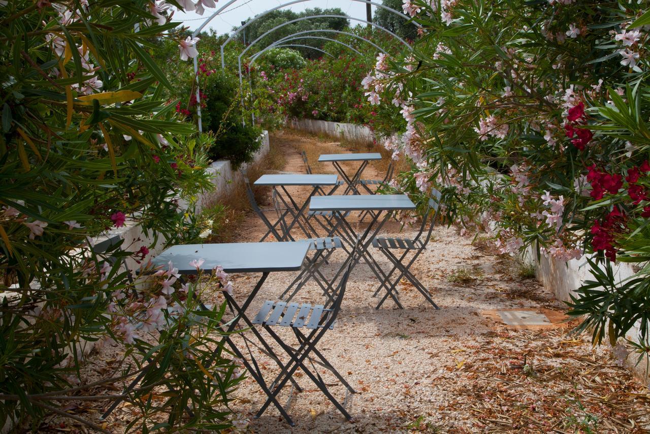 Fikus - The Apulian B&B Челие Месапика Екстериор снимка